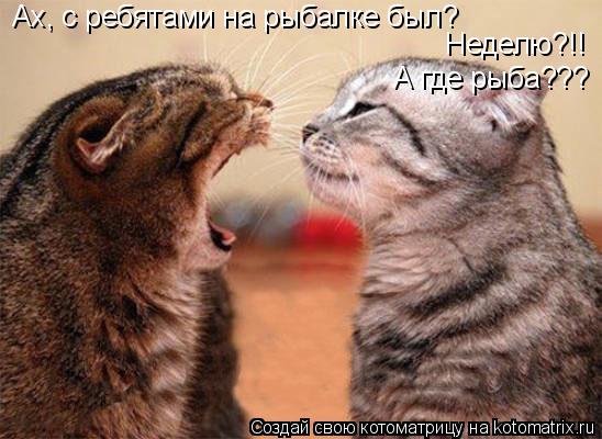 Ах, с ребятами на рыбалке был? Неделю?!! А где рыба???... Котоматрица: Ах, с ребятами на рыбалке был? Неделю?!! А где рыба???