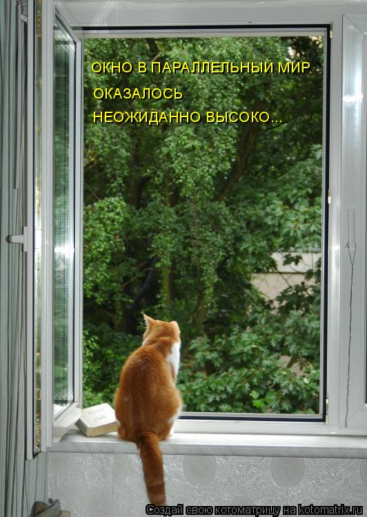 ОКНО В ПАРАЛЛЕЛЬНЫЙ МИР ОКАЗАЛОСЬ НЕОЖИДАННО ВЫСОКО...... Котоматрица: ОКНО В ПАРАЛЛЕЛЬНЫЙ МИР ОКАЗАЛОСЬ НЕОЖИДАННО ВЫСОКО...