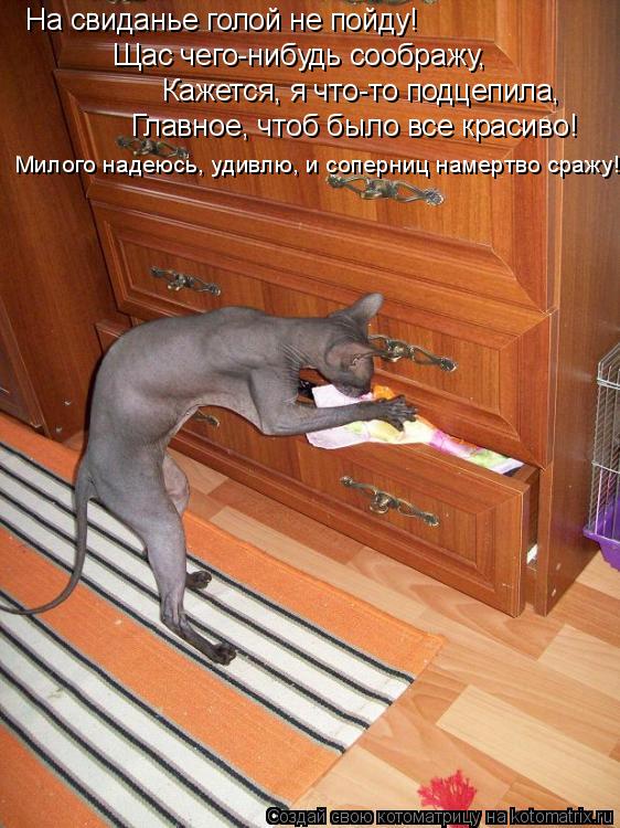 На свиданье голой не пойду! Щас чего-нибудь соображу, Кажется, я что-то подцепила, Главное, чтоб было... Котоматрица: На свиданье голой не пойду! Щас чего-нибудь соображу, Кажется, я что-то подцепила, Главное, чтоб было все красиво! Милого надеюсь, удивлю, и со