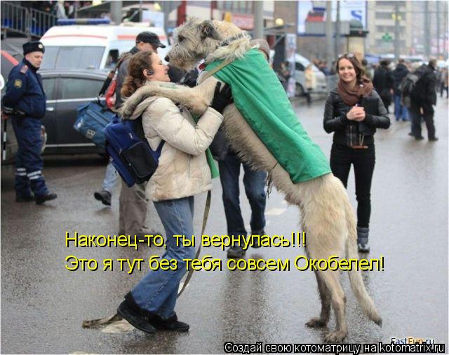 Наконец-то, ты вернулась!!! Это я тут без тебя совсем Окобелел!... Котоматрица: Наконец-то, ты вернулась!!! Это я тут без тебя совсем Окобелел!