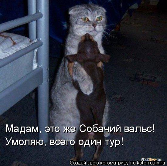 Мадам, это же Собачий вальс! Умоляю, всего один тур!... Котоматрица: Мадам, это же Собачий вальс! Умоляю, всего один тур!