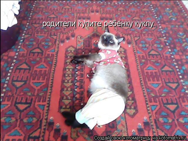 родители купите ребёнку куклу.... Котоматрица: родители купите ребёнку куклу.