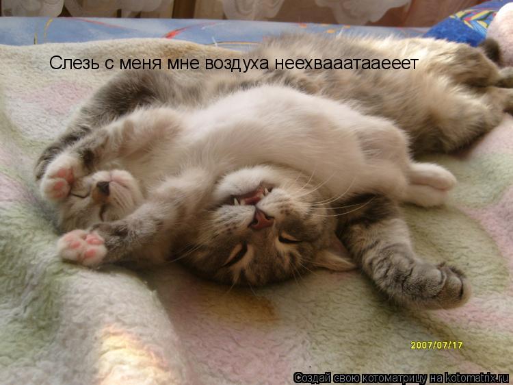 Слезь с меня мне воздуха неехвааатааееет... Котоматрица: Слезь с меня мне воздуха неехвааатааееет
