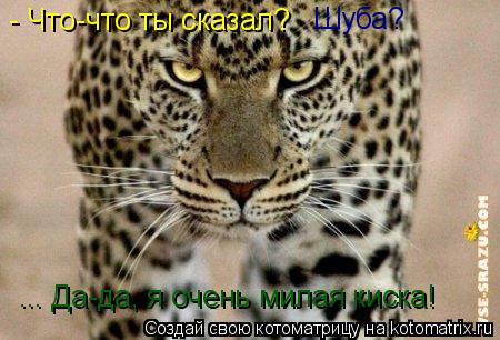- Что-что ты сказал? - Что-что ты сказал? Шуба? ... Да-да, я очень милая киска!... Котоматрица: - Что-что ты сказал? - Что-что ты сказал? Шуба? ... Да-да, я очень милая киска!
