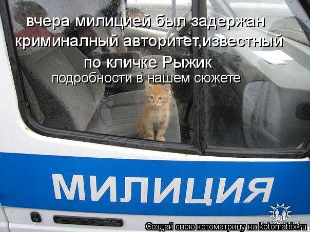 вчера милицией был задержан криминалный авторитет,известный по кличке Рыжик подробности в нашем сюже... Котоматрица: вчера милицией был задержан криминалный авторитет,известный по кличке Рыжик подробности в нашем сюжете