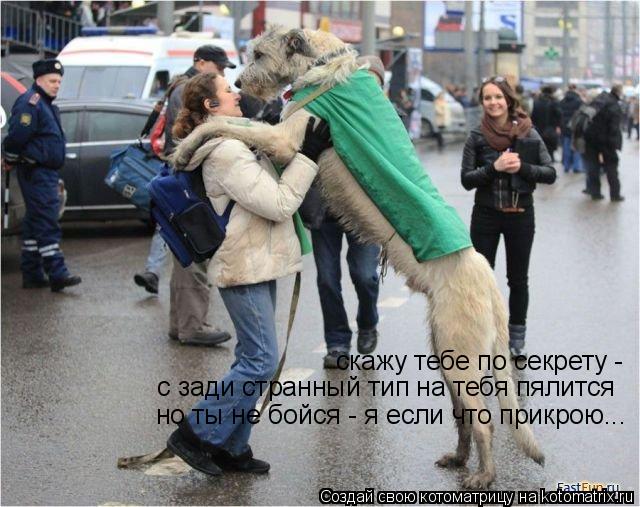 скажу тебе по секрету - но ты не бойся - я если что прикрою... с зади странный тип на тебя пялится... Котоматрица: скажу тебе по секрету - но ты не бойся - я если что прикрою... с зади странный тип на тебя пялится