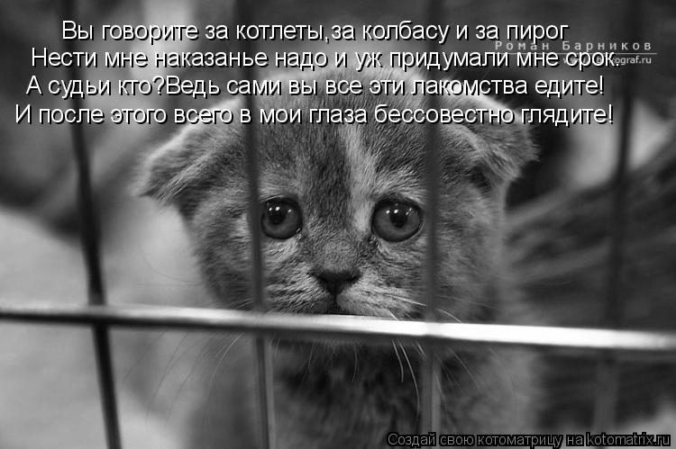 Вы говорите за котлеты,за колбасу и за пирог Нести мне наказанье надо и уж придумали мне срок. А судь... Котоматрица: Вы говорите за котлеты,за колбасу и за пирог Нести мне наказанье надо и уж придумали мне срок. А судьи кто?Ведь сами вы все эти лакомства еди