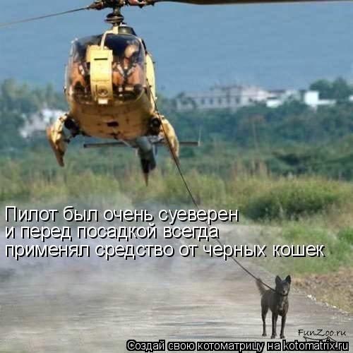Пилот был очень суеверен и перед посадкой всегда применял средство от черных кошек... Котоматрица: Пилот был очень суеверен и перед посадкой всегда применял средство от черных кошек