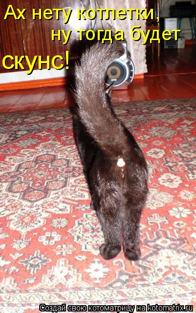 Ах нету котлетки, ну тогда будет скунс!... Котоматрица: Ах нету котлетки, ну тогда будет скунс!