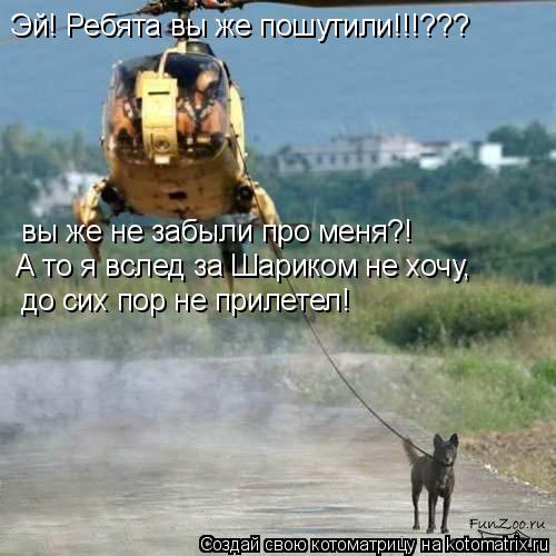 Эй! Ребята вы же пошутили!!!??? вы же не забыли про меня?! А то я вслед за Шариком не хочу, до сих по... Котоматрица: Эй! Ребята вы же пошутили!!!??? вы же не забыли про меня?! А то я вслед за Шариком не хочу, до сих пор не прилетел!