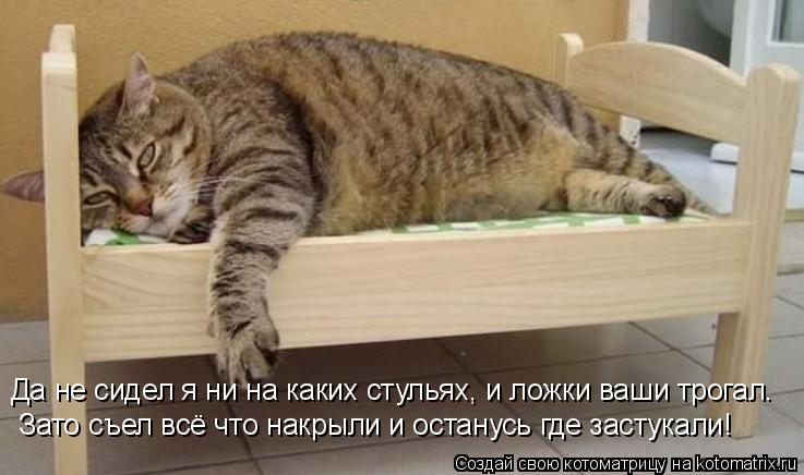 Да не сидел я ни на каких стульях, и ложки ваши трогал. Зато съел всё что накрыли и останусь где заст... Котоматрица: Да не сидел я ни на каких стульях, и ложки ваши трогал. Зато съел всё что накрыли и останусь где застукали!