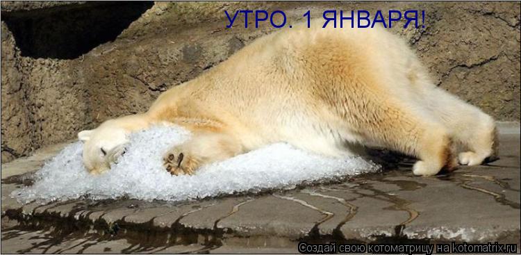 УТРО. 1 ЯНВАРЯ!... Котоматрица: УТРО. 1 ЯНВАРЯ!
