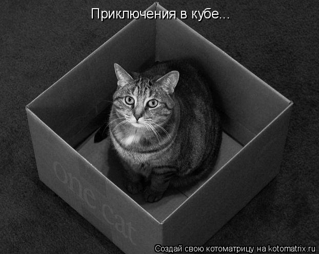 Приключения в кубе...... Котоматрица: Приключения в кубе...