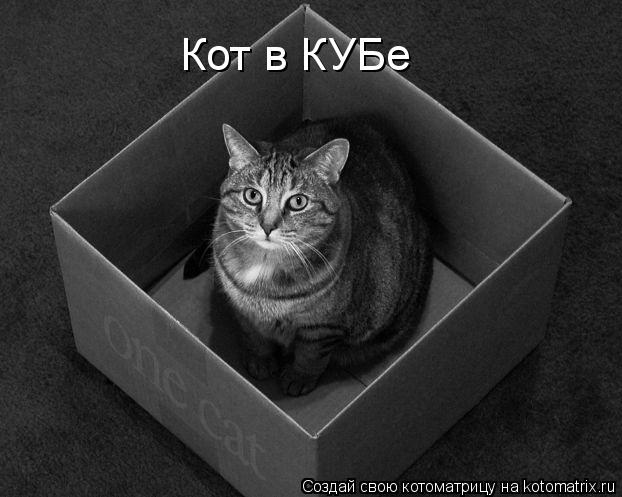 Кот в КУБе... Котоматрица: Кот в КУБе