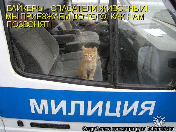 БАЙКЕРЫ - СПАСАТЕЛИ ЖИВОТНЫХ! МЫ ПРИЕЗЖАЕМ ДО ТОГО, КАК НАМ ПОЗВОНЯТ!... Котоматрица: БАЙКЕРЫ - СПАСАТЕЛИ ЖИВОТНЫХ! МЫ ПРИЕЗЖАЕМ ДО ТОГО, КАК НАМ ПОЗВОНЯТ!