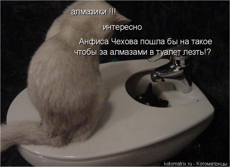 алмазики !!! интересно Анфиса Чехова пошла бы на такое чтобы за алмазами в туалет лезть!?... Котоматрица: алмазики !!! интересно Анфиса Чехова пошла бы на такое чтобы за алмазами в туалет лезть!?