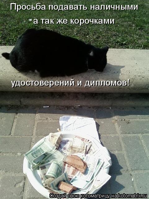 Просьба подавать наличными а так же корочками удостоверений и дипломов!... Котоматрица: Просьба подавать наличными а так же корочками удостоверений и дипломов!