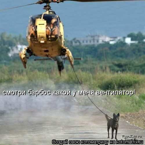 смотри барбос какой у меня вентилятор!... Котоматрица: смотри барбос какой у меня вентилятор!