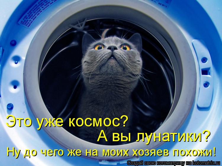 Это уже космос? А вы лунатики? Ну до чего же на моих хозяев похожи!... Котоматрица: Это уже космос? А вы лунатики? Ну до чего же на моих хозяев похожи!