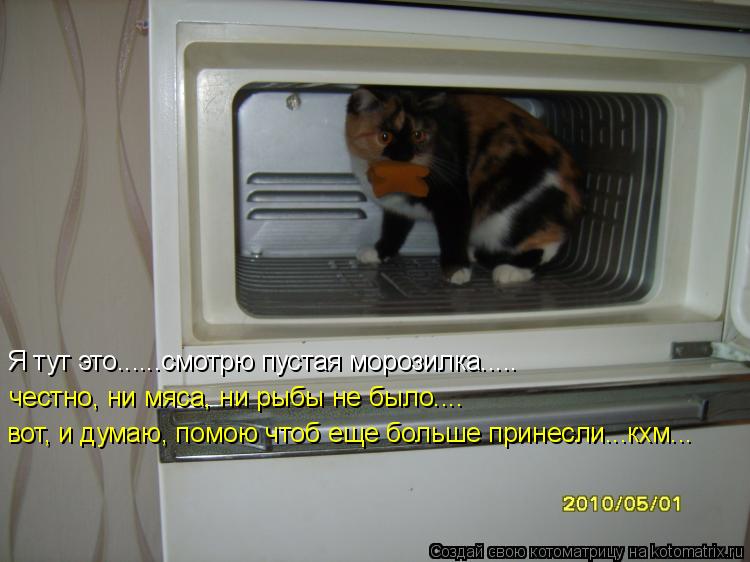 Я тут это......смотрю пустая морозилка..... честно, ни мяса, ни рыбы не было.... вот, и думаю, помою ... Котоматрица: Я тут это......смотрю пустая морозилка..... честно, ни мяса, ни рыбы не было.... вот, и думаю, помою чтоб еще больше принесли...кхм...