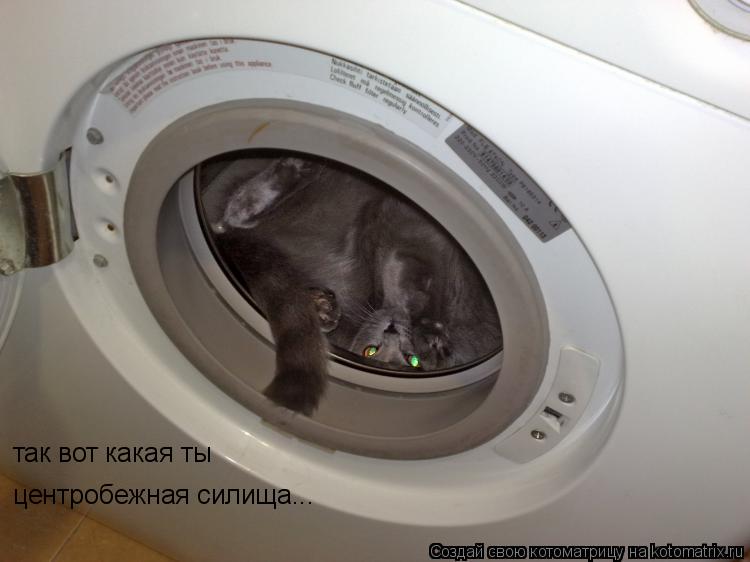 так вот какая ты центробежная силища...... Котоматрица: так вот какая ты центробежная силища...