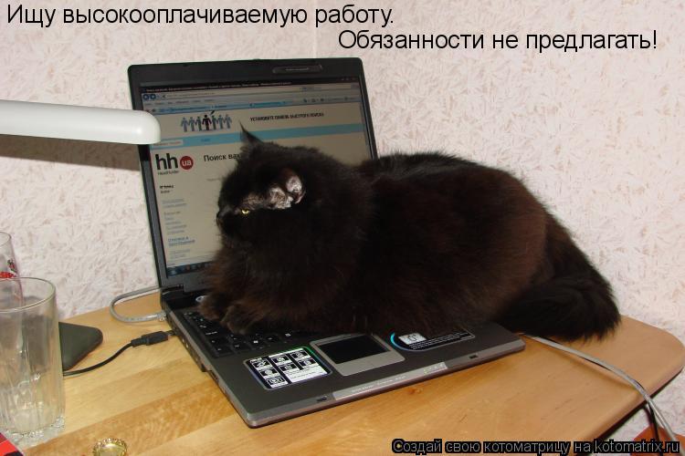 Ищу высокооплачиваемую работу. Обязанности не предлагать!... Котоматрица: Ищу высокооплачиваемую работу. Обязанности не предлагать!
