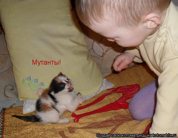 Мутанты!... Котоматрица: Мутанты!
