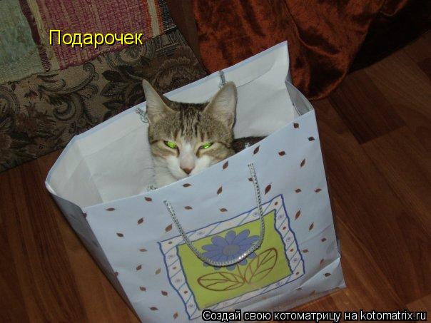 Подарочек... Котоматрица: Подарочек