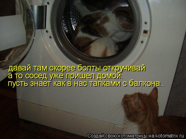 давай там скорее болты откручивай а то сосед уже пришел домой. пусть знает как в нас тапками с балкон... Котоматрица: давай там скорее болты откручивай а то сосед уже пришел домой. пусть знает как в нас тапками с балкона..