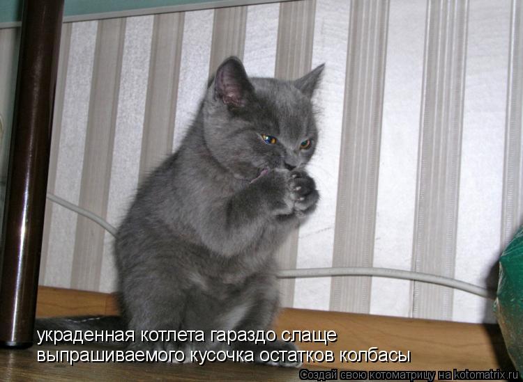 украденная котлета гараздо слаще выпрашиваемого кусочка остатков колбасы... Котоматрица: украденная котлета гараздо слаще выпрашиваемого кусочка остатков колбасы