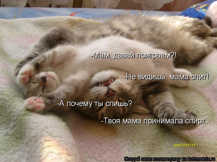 -Мам, давай поиграем?! -Не видишь, мама спит! -А почему ты спишь? -Твоя мама принимала спирт...... Котоматрица: -Мам, давай поиграем?! -Не видишь, мама спит! -А почему ты спишь? -Твоя мама принимала спирт...