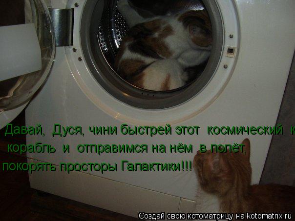 Давай, Дуся, чини быстрей этот космический корабль корабль и отправимся на нём в полёт, поко... Котоматрица: Давай, Дуся, чини быстрей этот космический корабль корабль и отправимся на нём в полёт, покорять просторы Галактики!!!