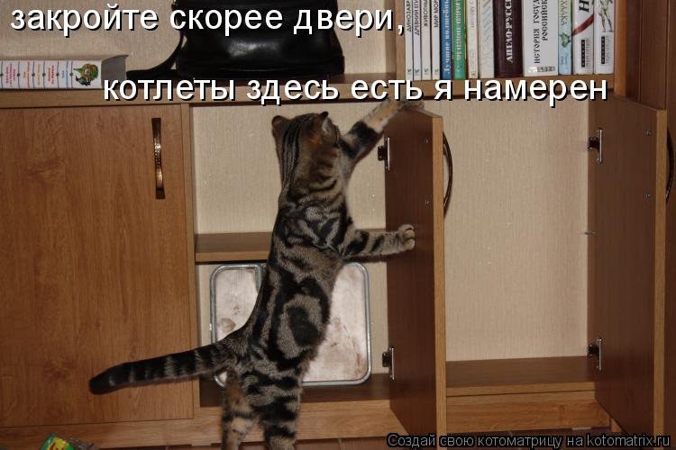 закройте скорее двери, котлеты здесь есть я намерен... Котоматрица: закройте скорее двери, котлеты здесь есть я намерен