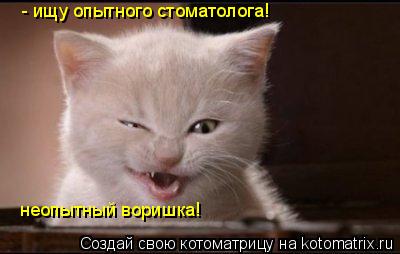 - ищу опытного стоматолога! неопытный воришка!... Котоматрица: - ищу опытного стоматолога! неопытный воришка!