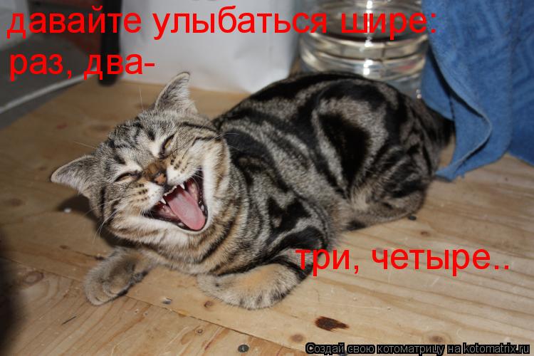давайте улыбаться шире: раз, два- три, четыре..... Котоматрица: давайте улыбаться шире: раз, два- три, четыре..