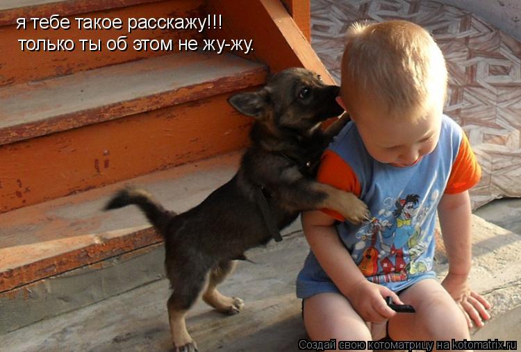 я тебе такое расскажу!!! только ты об этом не жу-жу.... Котоматрица: я тебе такое расскажу!!! только ты об этом не жу-жу.