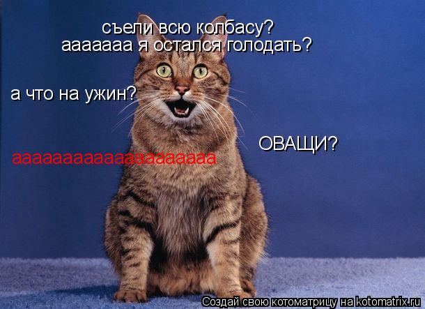 съели всю колбасу? ааааааа я остался голодать? а что на ужин? ОВАЩИ? аааааааааааааааааааа... Котоматрица: съели всю колбасу? ааааааа я остался голодать? а что на ужин? ОВАЩИ? аааааааааааааааааааа