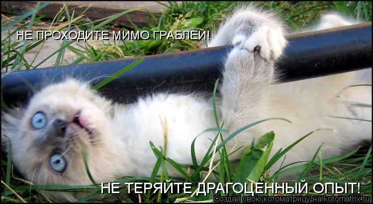 НЕ ПРОХОДИТЕ МИМО ГРАБЛЕЙ! НЕ ТЕРЯЙТЕ ДРАГОЦЕННЫЙ ОПЫТ!... Котоматрица: НЕ ПРОХОДИТЕ МИМО ГРАБЛЕЙ! НЕ ТЕРЯЙТЕ ДРАГОЦЕННЫЙ ОПЫТ!