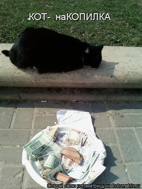 КОТ- наКОПИЛКА... Котоматрица: КОТ- наКОПИЛКА