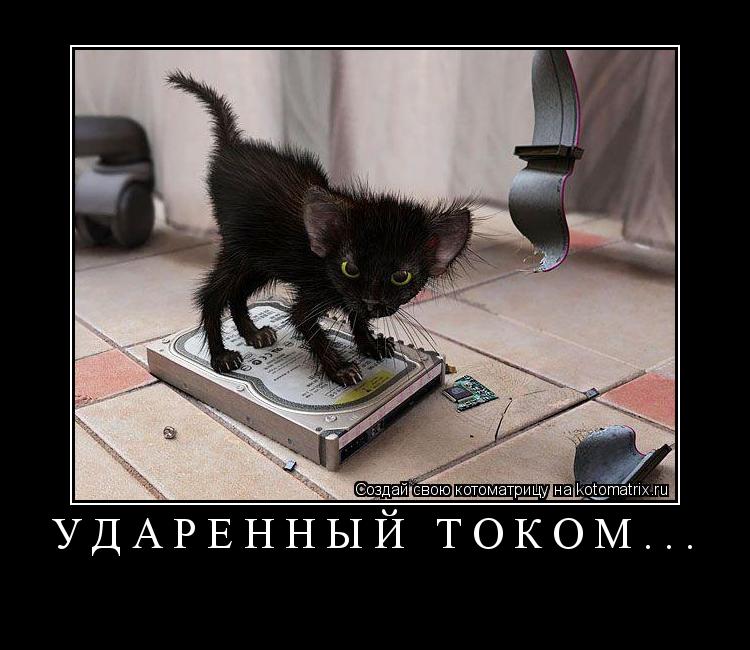 Ударенный током... ... Котоматрица: Ударенный током...