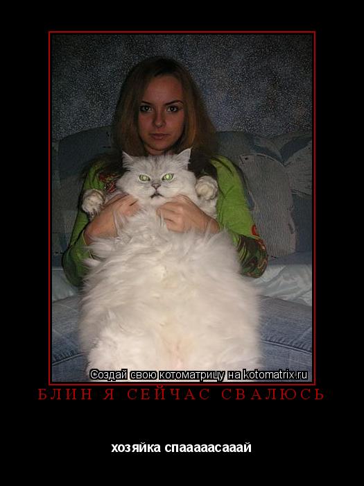 блин я сейчас свалюсь хозяйка спааааасааай... Котоматрица: блин я сейчас свалюсь хозяйка спааааасааай