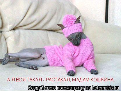 А Я ВСЯ ТАКАЯ - РАСТАКАЯ, МАДАМ КОШКИНА.... Котоматрица: А Я ВСЯ ТАКАЯ - РАСТАКАЯ, МАДАМ КОШКИНА.