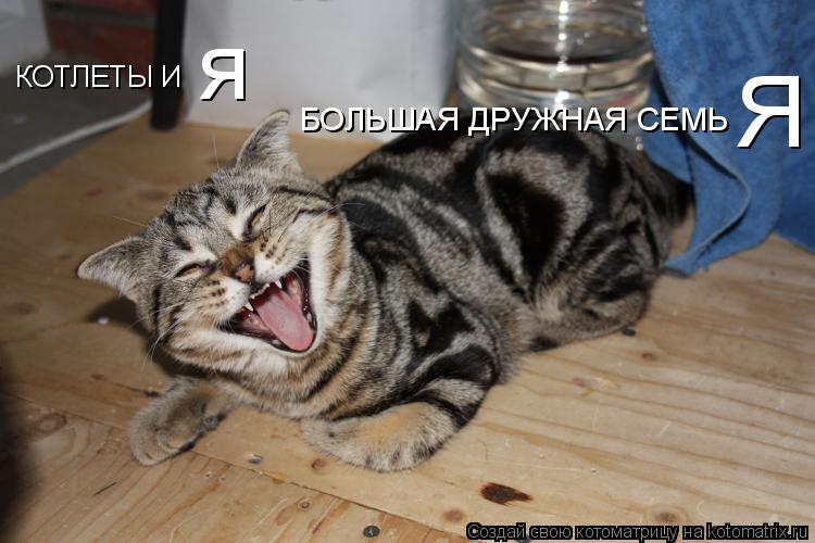 КОТЛЕТЫ И я БОЛЬШАЯ ДРУЖНАЯ СЕМЬ Я... Котоматрица: КОТЛЕТЫ И я БОЛЬШАЯ ДРУЖНАЯ СЕМЬ Я