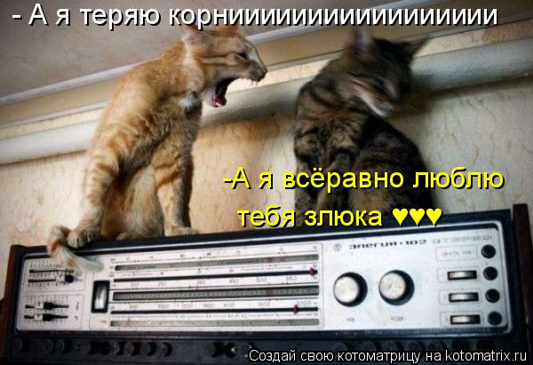 - А я теряю корниииииииииииииииии -А я всёравно люблю тебя злюка ♥♥♥... Котоматрица: - А я теряю корниииииииииииииииии -А я всёравно люблю тебя злюка ♥♥♥