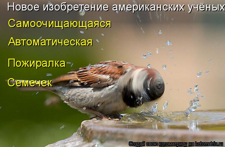 Новое изобретение американских учёных. Самоочищающаяся Автоматическая Пожиралка Семечек... Котоматрица: Новое изобретение американских учёных. Самоочищающаяся Автоматическая Пожиралка Семечек