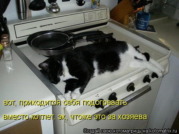 вот, приходится себя подогревать вместо котлет, эх, чтоже это за хозяева... Котоматрица: вот, приходится себя подогревать вместо котлет, эх, чтоже это за хозяева