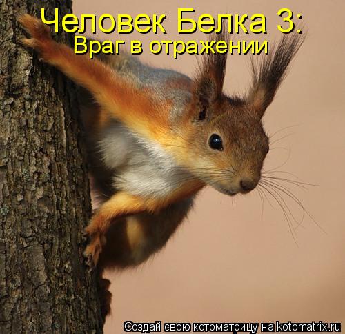 Человек Белка 3: Враг в отражении... Котоматрица: Человек Белка 3: Враг в отражении