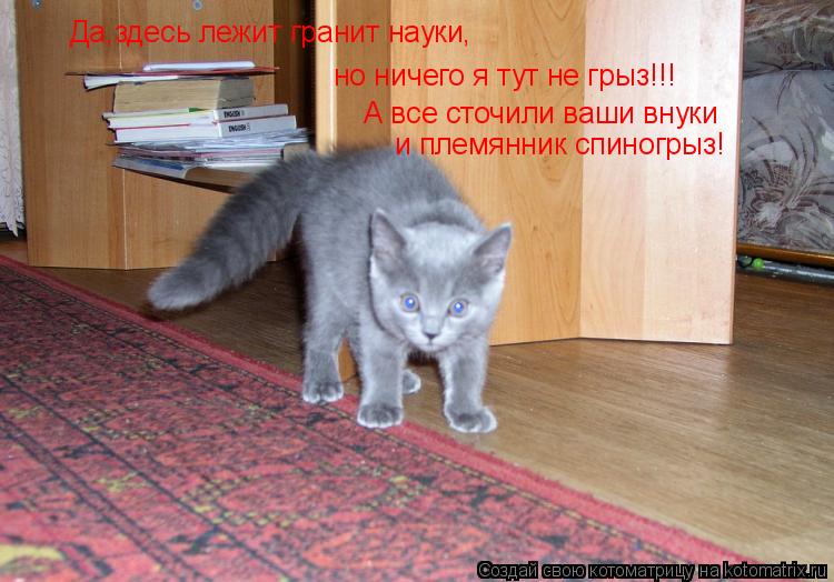 Да,здесь лежит гранит науки, но ничего я тут не грыз!!! А все сточили ваши внуки и племянник спиногры... Котоматрица: Да,здесь лежит гранит науки, но ничего я тут не грыз!!! А все сточили ваши внуки и племянник спиногрыз!