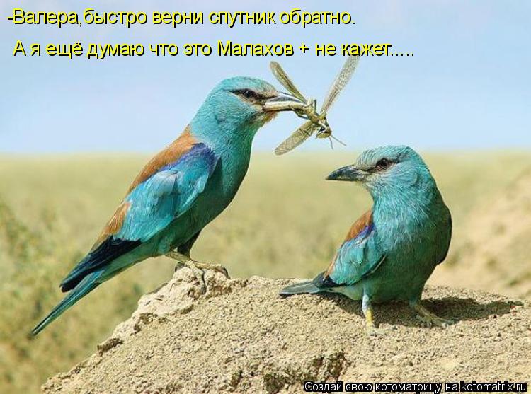 -Валера,быстро верни спутник обратно. А я ещё думаю что это Малахов + не кажет........ Котоматрица: -Валера,быстро верни спутник обратно. А я ещё думаю что это Малахов + не кажет.....