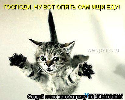 ГОСПОДИ, НУ ВОТ ОПЯТЬ САМ ИЩИ ЕДУ!... Котоматрица: ГОСПОДИ, НУ ВОТ ОПЯТЬ САМ ИЩИ ЕДУ!